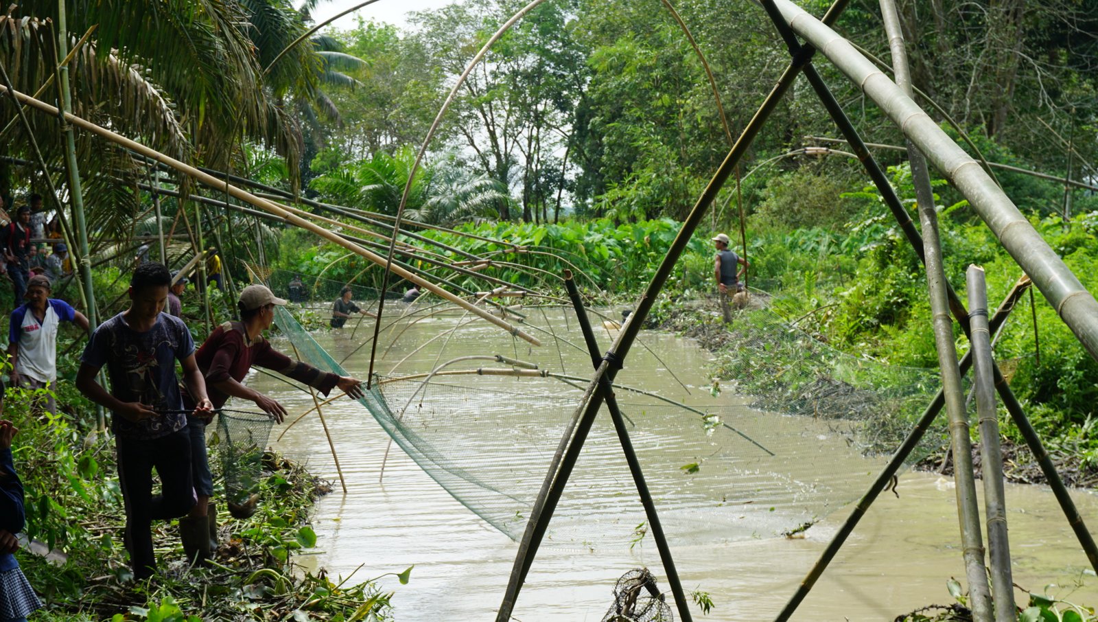 Bekarang, tradisi menangkap ikan di Desa Senaung Muarojambi