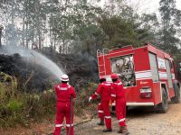 Tim HSSE Pertamina EP Jambi memadamkan kebakaran lahan menggunakan fire truck di salah satu lokasi karhutla di Jambi.